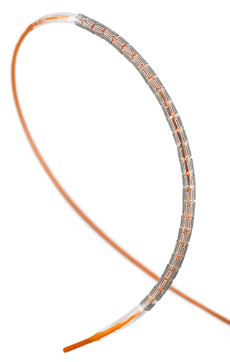 XIENCE Sierra Everolimus Eluting Coronary Stent System